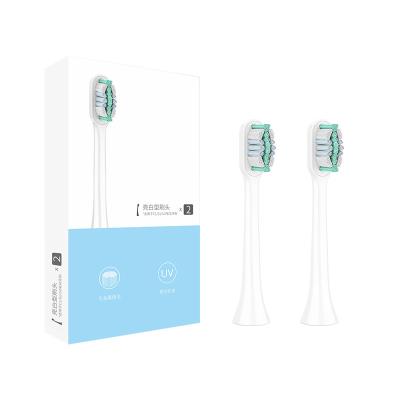 China CONTEC S1 Mini cepillo de dientes eléctrico sónico recargable en venta