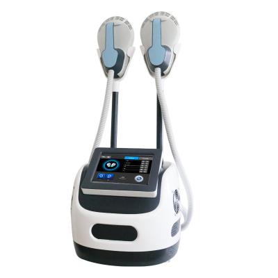 China Weight Loss Emslim Cryo Slimming Machine For Fat for sale