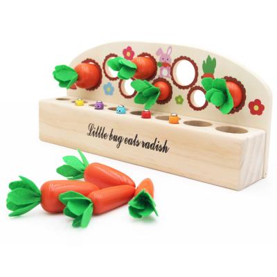 Chine La récolte Montessori en bois de carotte de bébé joue le jeu d'assortiment à vendre