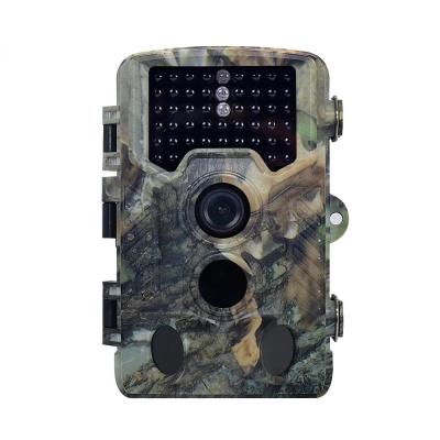 China 65ft Long Range Night Vision Night Vision Trail Camera For Hunting Game Digital Video Hunting Camera for sale