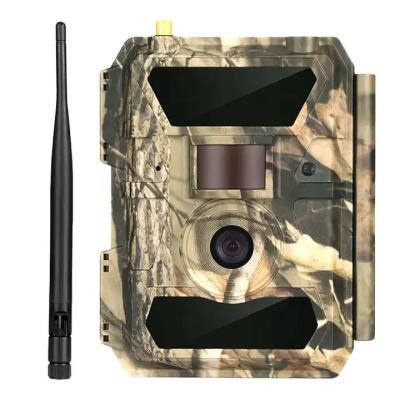 China Hunting Trail Camera Smart Camera And Apps And Message Wildlife Trail Camera for sale