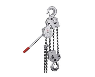 China OEM Stainless Steel Hoist Lever SS Chain Pulley Block 500kg for sale