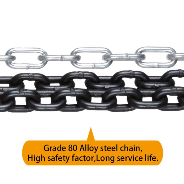 Quality Industrial 1 Ton Chain Hoist Block For Heavy Duty Lifting for sale