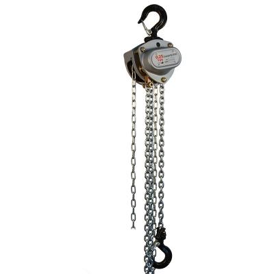 China 1/4 Ton Mini Chain Hoist Block Light Duty for Construction for sale