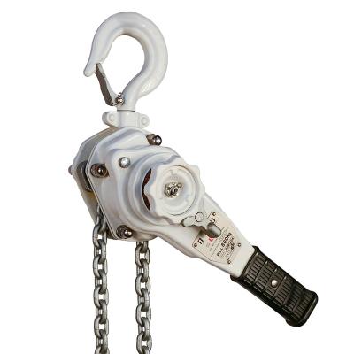 China Integrated Impact Corrosion Resistant Chain Hoist Pulley Block for sale