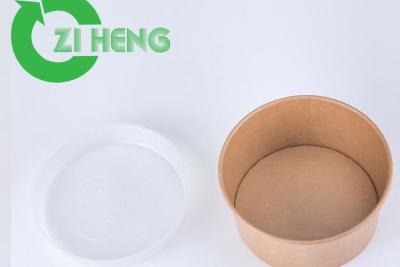Chine Réutilisable imbibez les plats en plastique divisés jetables de preuve pour la couleur de blanc de déjeuner à vendre