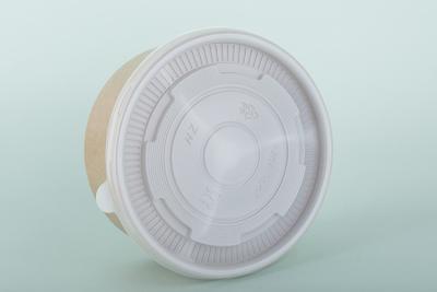 China Withstand Heat Disposable Divided Plastic Plates For Hot Liquids 2 Sections for sale