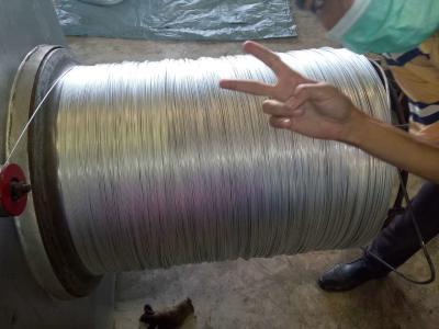 China Electro línea de acero inoxidable de la galvanización para el alambre de púas en venta