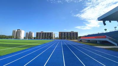 China High Resistance Tartan Running Track Made Of Rubber Material Help Constructions for sale