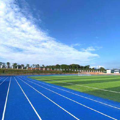 China Red Semi Prefabricate Running Track Weather Resistance for sale