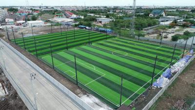 Κίνα Αποτελεσματικό σύστημα αποχέτευσης Συνθετικό γρασίδι για στάδια και γήπεδα ποδοσφαίρου προς πώληση