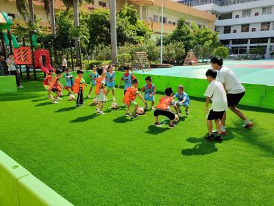 China Realistic Artificial Grass Turf For Garden With Drainage Holes for sale