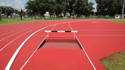 China Top-grade Synthetic Running Track Polyurethane Runway Materials with High Durability à venda