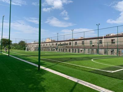 China China Artificial Football Pitches 8000-15000 Dtex Efficient Drainage Rubber Granules / Quartz Sand for sale