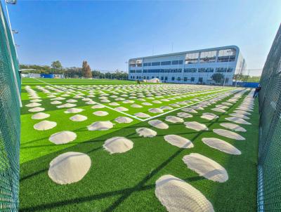 China Disease Resistant Artificial Football Turf Dtex 8000-15000 Rubber Infill PP Net SBR Backing for sale