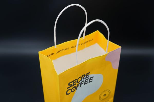 Quality OEM / ODM Printed Paper Carrier Bags Custom Paper Bags For Business Use for sale