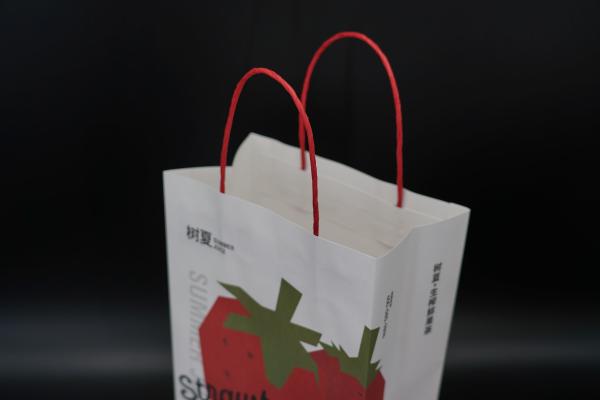 Quality Discounted Custom Retail Paper Bags White Printing Cardboard Shopping Bags for sale