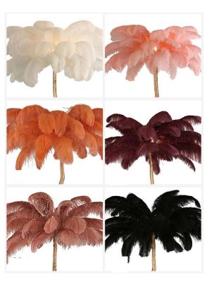 China DIY Ostrich Feather Lamp for sale