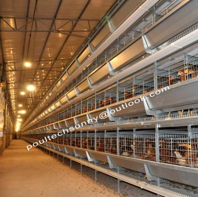 China Hot and Electricidad Galvanized Chicken Cage H Type Layer Broiler Pullet  Battery Cage for sale
