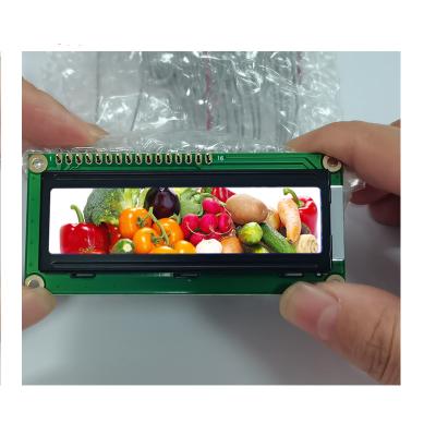 China 16x2 2x16 LCD Modulo de exibição de LCD transflectivo 1602 Caracter à venda