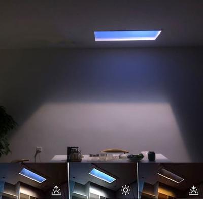 China Painel de luz solar artificial ultrafino liga de alumínio 120x60 110V vertical à venda