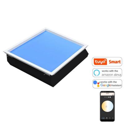 China Recessed 60x60cm LED Skylight Panel 100W 110VAC 7800K Dimmable for sale