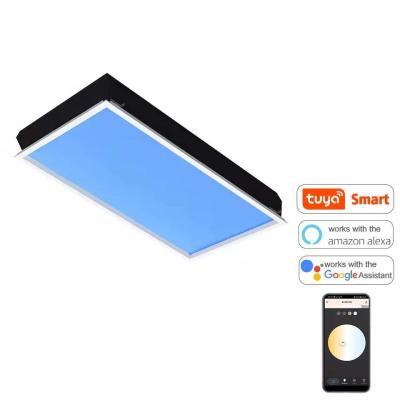 China Remote Control LED Skylight Panel 220V 60x120 Durable Artificial Sunlight for sale