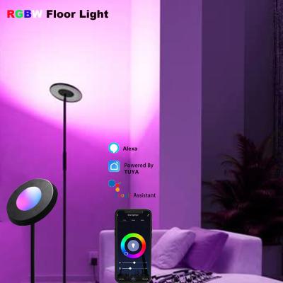 China CCT 2700K-5000K RGB Corner Floor Lamp Alexa Voice Control 24V Dimmable for sale