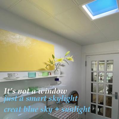 China UV Free LED Faux Skylight Panels Artificial Daylight Circadian Rhythm Blue Sky Therapy for sale