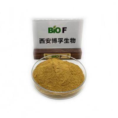 China 80% Silymarin Powder Food Grade Milk Thistle Extract Powder for sale