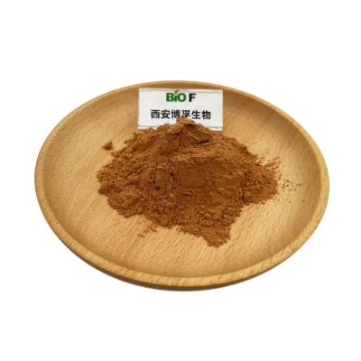 China Organic Green Tea Extract Powder Herb Tea Polyphenols 98% Health Care Brown Yellow for sale