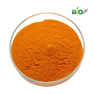 China Hot Selling Pure Natural Root Curcumin 5% 20% 95% Wild Organic Turmeric Powder Wholesale Price for sale