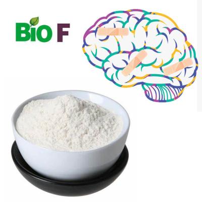 China Health Nefiracetam Noopept Bulk Alpha Brain Powder Nootropics 99% for sale