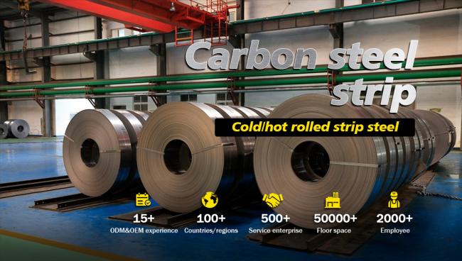 65mn Carbon Strip Sk5 High Carbon Steel Strip White Finishing 65mn Steel Strips50X1.25mm