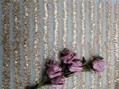 Chine Madame Dress Decoration 60 yards de paillette de tissu brodé linéaire de dentelle à vendre