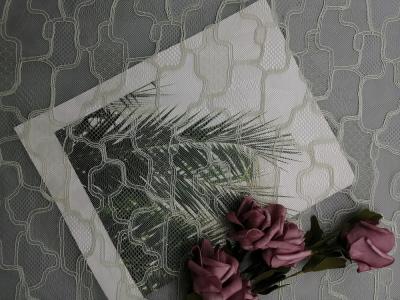 Китай Ткань шнурка Chantilly сетки вышивки французская декоративная геометрическая продается