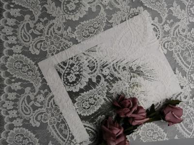 China Lightweight French Chantilly Paisley White Bridal Lace Fabric for sale
