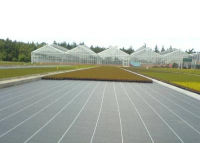 Cina Il tessuto della copertura al suolo del giardino/tessuto del diserbo non per mantiene la temperatura in vendita