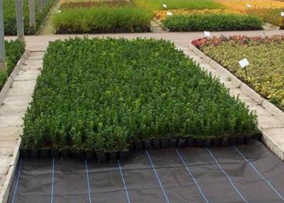 China Weed killer Agriculture Non Woven Fabric Plant / Ground Cover Breathable Anti Frost for sale