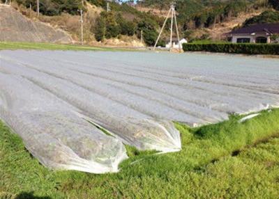 Chine Le textile tissé non tissé d'agriculture de couverture végétale non empêchent des mauvaises herbes de ruiner le paysage à vendre