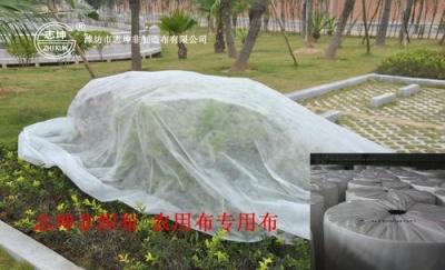 Chine De polypropylène d'agriculture tissu 100% de maille de filet de couverture végétale de lutte contre les mauvaises herbes de textile tissé non à vendre
