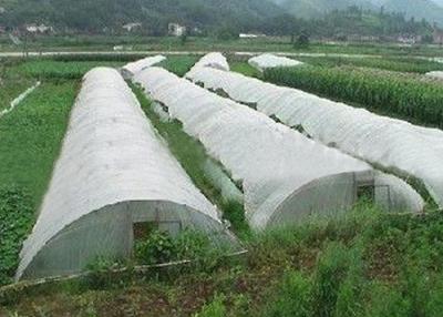 China Anti Aging Agriculture Non Woven Fabric / Polypropylene Fabric Rolls For Agricultural Cover for sale