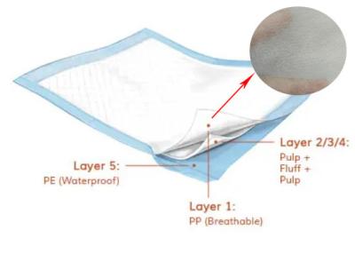 China Adult Underpads 100% PP Nonwoven Fabric Water Absorbent 10g-20gsm Hydrophilic for sale