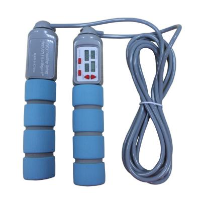 China Fitness Jump Rope 20 Kgs PVC Jump Rope For Fitness Training With PP Handle OK-168 Baby Blue Color Skip Rope for sale