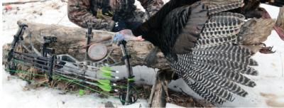 China Turkey and Deer hunting Season Mirco Arrows (.165