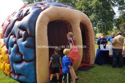 China Inflatable Mega Brain Model Organs Exhibition Giant Human Big Brain Tent for sale