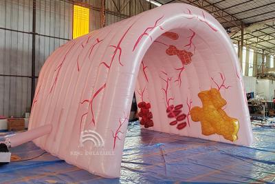 China Custom Giant  Inflatable Lungs Medical Event Theme Advertising Human Organ Large Colon Tube Model for sale