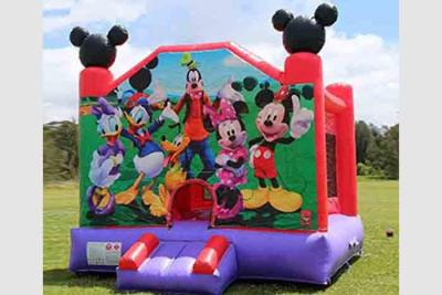 China Commercial Adult Bouncy Castles Outdoor Party Indoor Sale Child Inflatable Bouncy Castle for sale