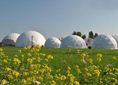 中国 PVC Steel White Geodesic Dome Tent House For Party Event Trade Exhibition 販売のため