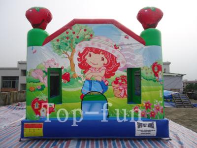 China Children Customized Inflatable Jumping Castle CE / UL Blower For Indoor / Outdoor for sale